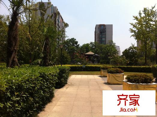 宋都美域?qū)嵕皥D2013-08-19