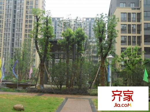 奧體新城青桐園外景圖