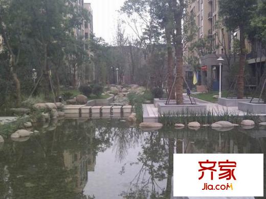 奧體新城青桐園外景圖