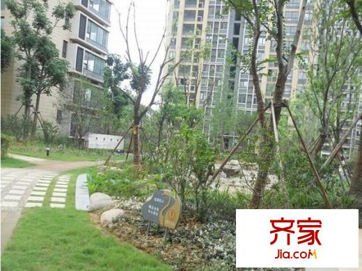 奧體新城青桐園外景圖