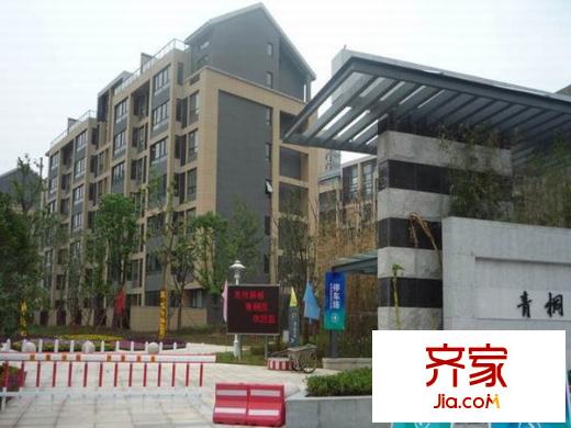 奧體新城青桐園