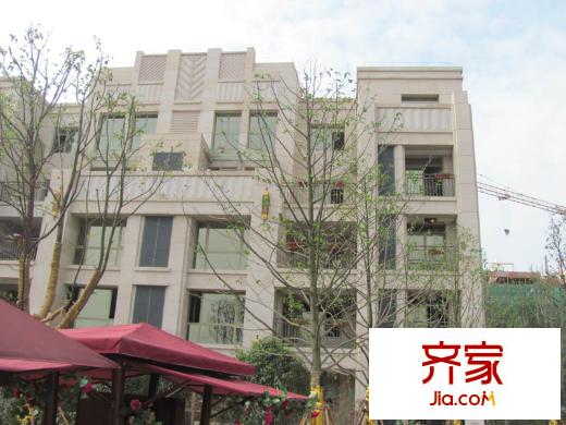 融僑中央花園外景圖 