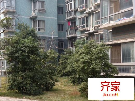 武夷商城外景圖