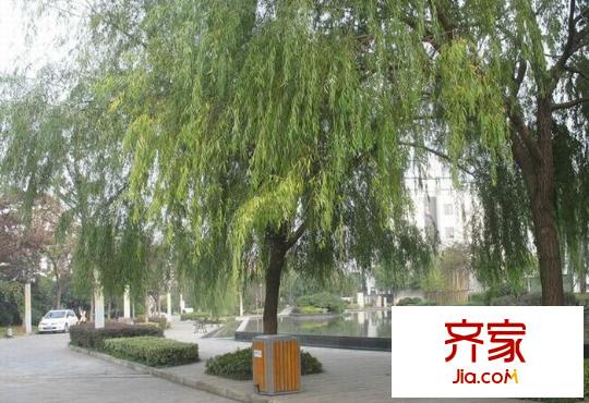 尚東花園外景圖