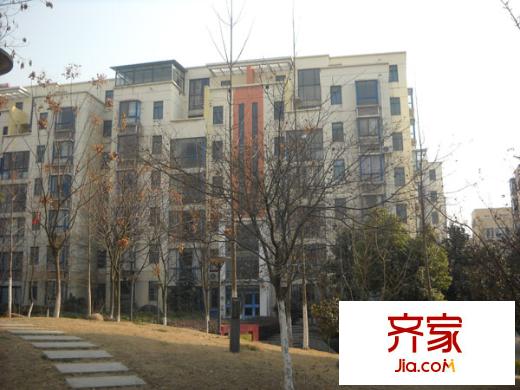 泰盈陽光之旅外景圖