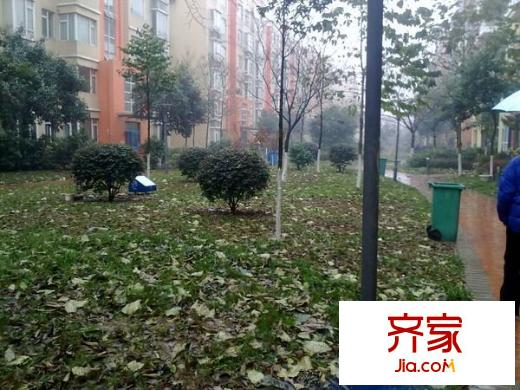 泰盈陽光之旅外景圖