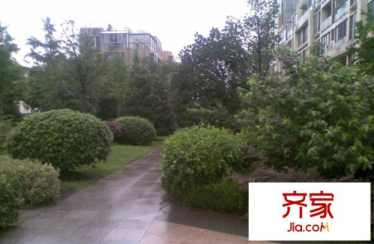 濱江奧城外景圖