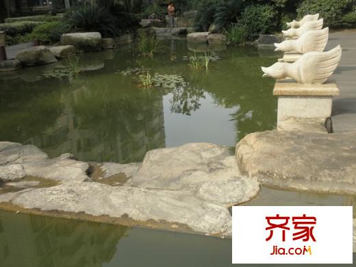匯林綠洲外景圖