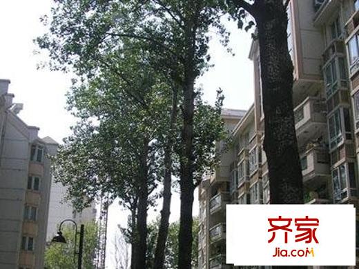 匯林綠洲