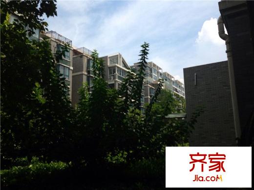 挪威森林外景圖