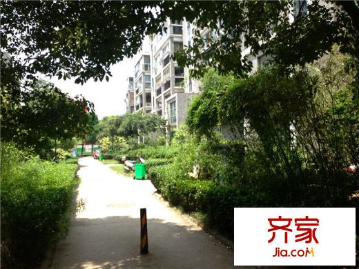 挪威森林外景圖