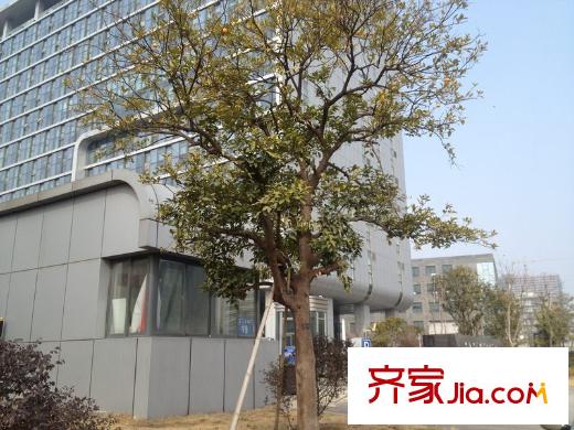 蘇寧睿城配套圖周邊