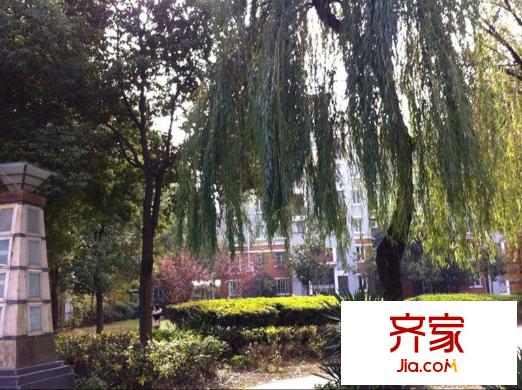旭日華庭外景圖