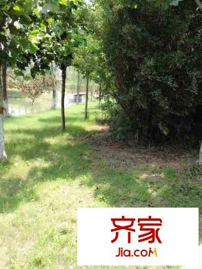 樂居雅花園外景圖