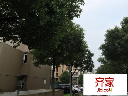 南灣營(yíng)外景圖