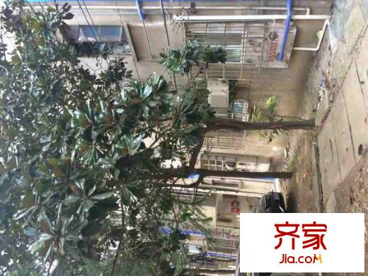 五塘新村外景圖