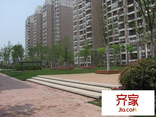 金城麗景外景圖二期小區(qū)綠化（2013.4.25）