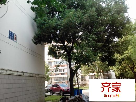 高新花苑外景圖