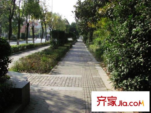 金基匯錦國際配套圖東側(cè)樂山路人行道