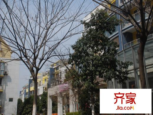 翠屏清華園外景圖