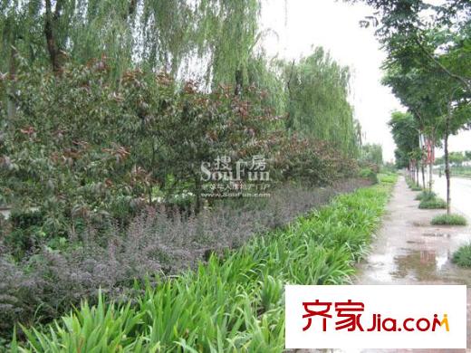 海潤楓景家園配套圖周邊