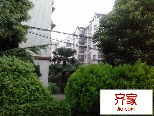 橋北新村外景圖