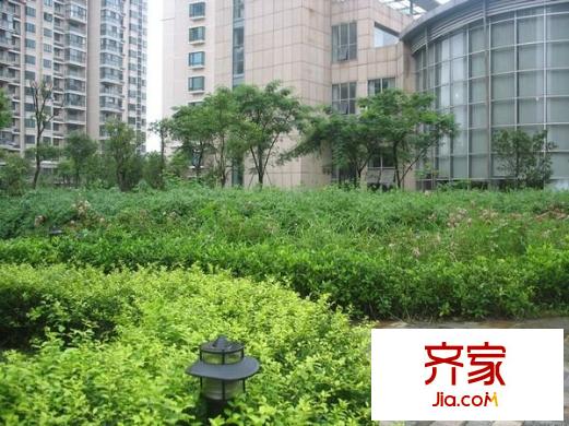 香樟園外景圖 