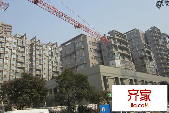 高爾夫國際花園項目實景（2015-3-19）