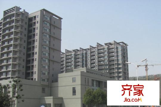 高爾夫國際花園項目實景（2015-3-19）