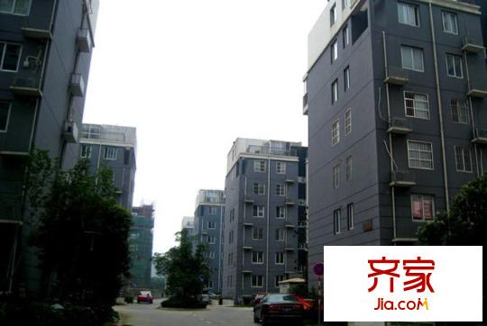 合家春天外景圖