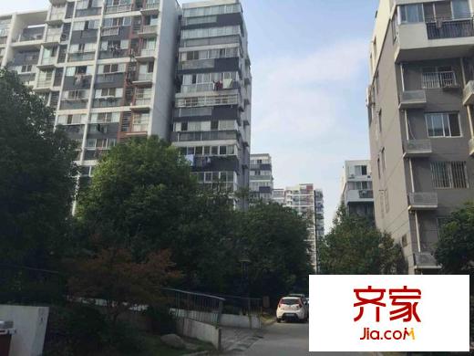 合家春天