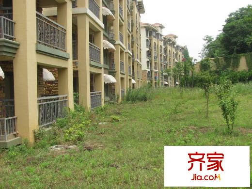 天華綠谷莊園外景圖一期成型外立面（2010.05.28）