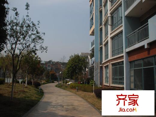 翠屏國際城