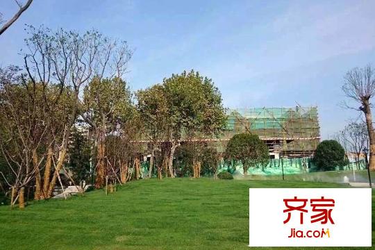 電建平方米悅府項(xiàng)目售樓處外部綠化（2015-11-02）