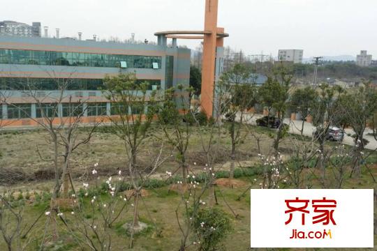 通宇G59地塊地塊遠(yuǎn)景（2015-03-26）