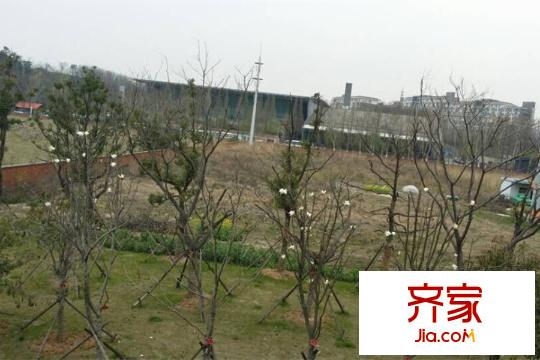 通宇G58地塊地塊實(shí)景（2015-03-26）