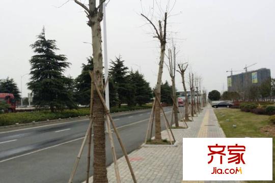 通宇G58地塊地塊現(xiàn)場(chǎng)（2015-03-26）