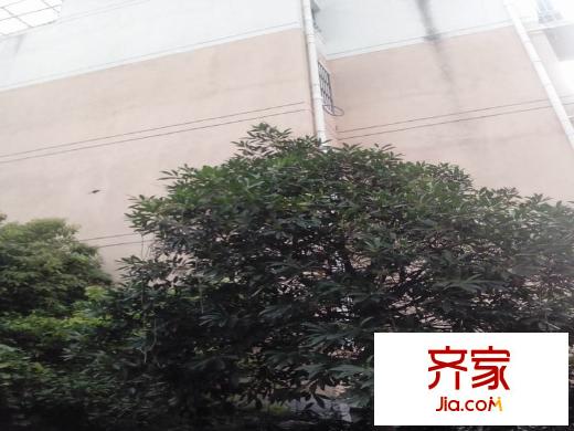 華輝秦淮公館外景圖