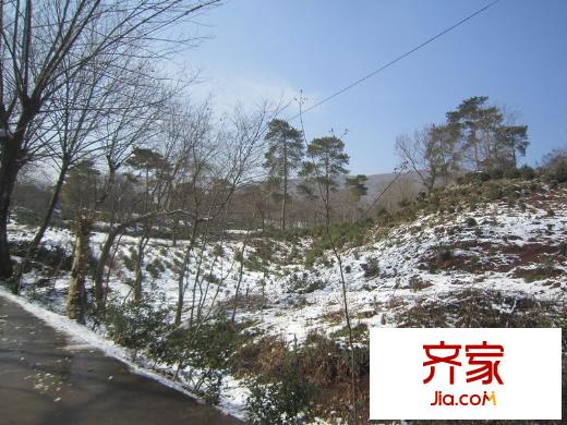 明發(fā)浦口G86地塊項目現(xiàn)場（2013-01-23）