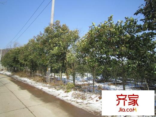 浦口國有資產(chǎn)G87地塊