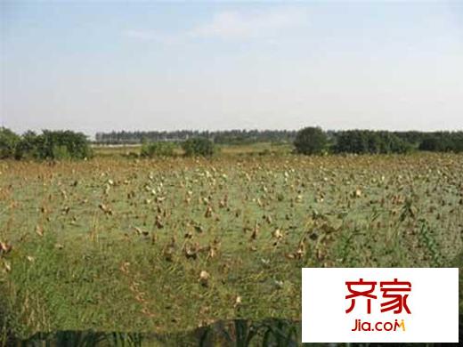 北岸新城項(xiàng)目4