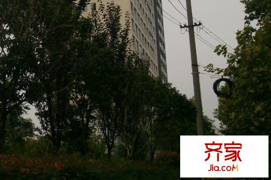 贊成領尚小區(qū)前面（2015-3-16）