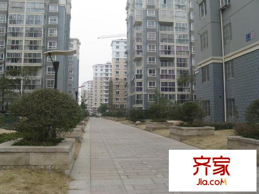 鑫龍花苑小區(qū)（2012.11）