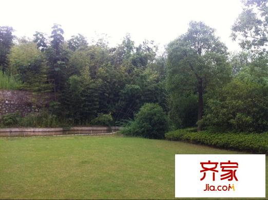 陽明山莊小區(qū)綠化圖（2014-7-18）