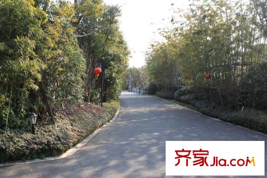 陽明山莊門前小路（2012.2）