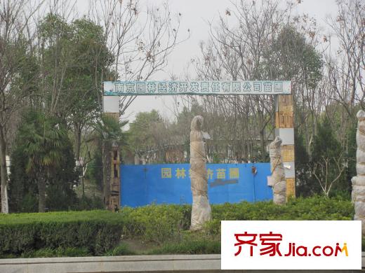 酈城御園北側(cè)苗圃公司