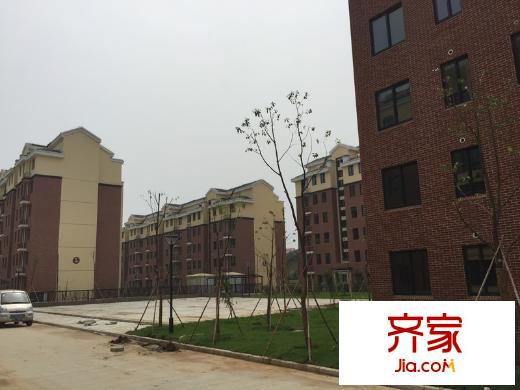 陶然經(jīng)典