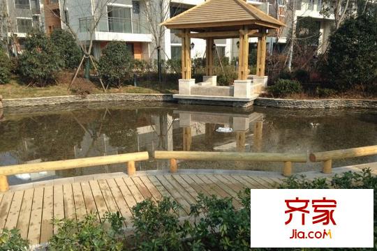 國(guó)信慧谷山居園林景觀湖（2015-3-26）