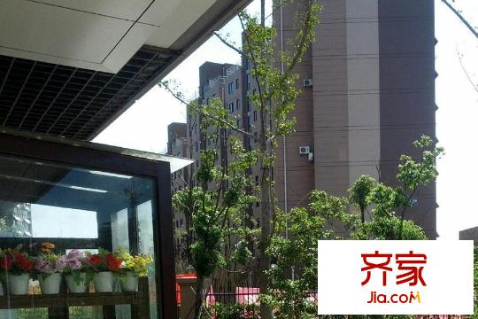 華菁水苑