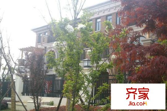 瑞景葉泊藍(lán)山項(xiàng)目園林景觀（2015-3-20）